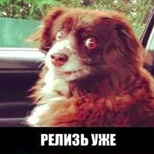 Sticker Release this fucking shit! - 1