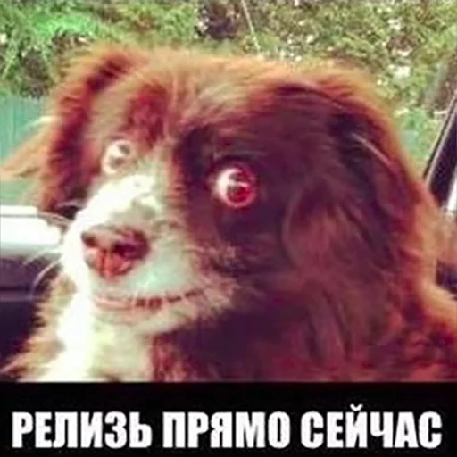 Sticker Release this fucking shit! - 0