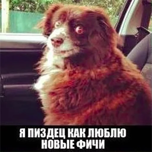 Release this fucking shit! - 