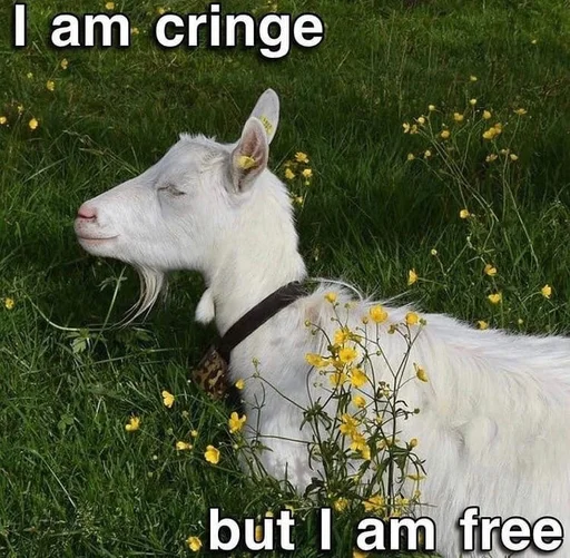 Sticker religious_issues - 1