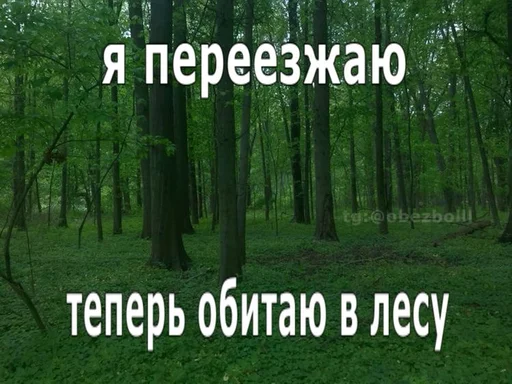 Стикер religious_issues - 1