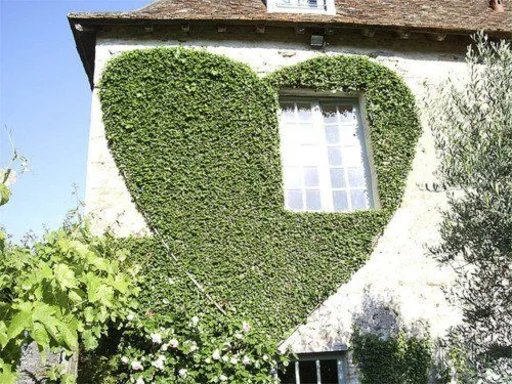 Sticker religious_issues - 1