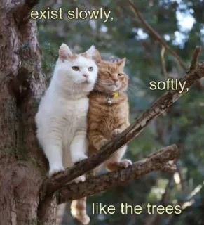 Sticker religious issues - 3