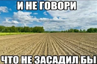 Sticker religious issues - 9