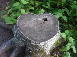 Sticker religious issues - 7