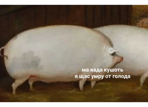 Стикер Reports - 3