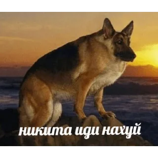 Sticker под героином - 3