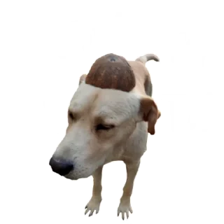 Стикер Ресторан кайф (тест) - 0