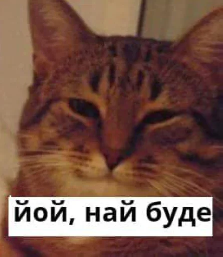 Стикер retardedpack - 4