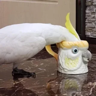 Sticker Retranslyator Stikers v.3 - 6