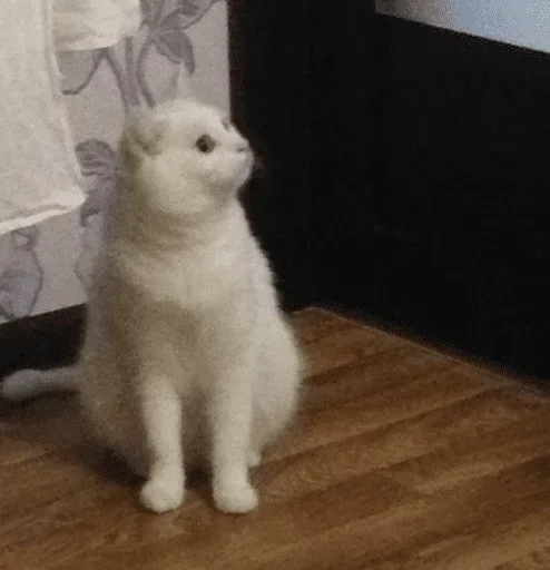 Стикер reyz1z_pack_by_fStikBot - 1