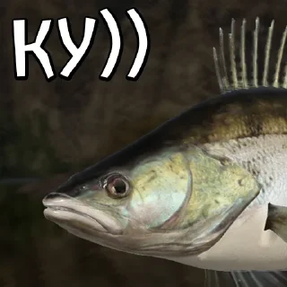 animal fish fish products