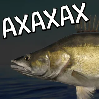 animal fish fish products