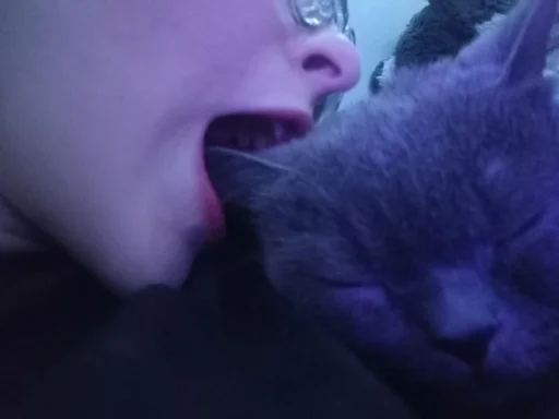 Sticker rfJYobURBu_by_UmojiBot - 1