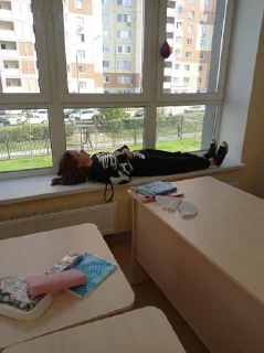 Sticker у басистов нет прав @Femoji - 5