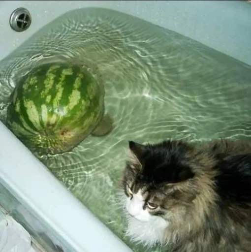 Стикер rfzitqkhck_by_WeStickerbot - 1