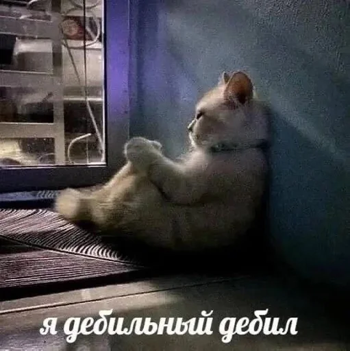 Стикер rfzitqkhck_by_WeStickerbot - 1