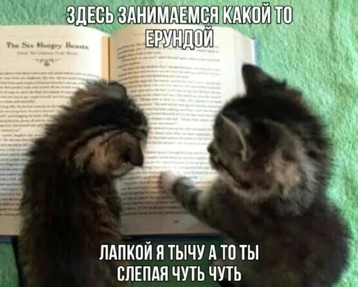 Стикер rfzitqkhck_by_WeStickerbot - 1