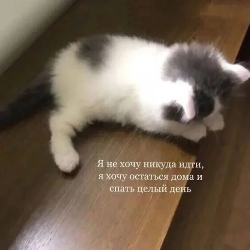 Стикер rfzitqkhck_by_WeStickerbot - 1