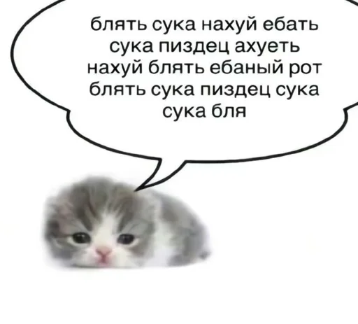 Стикер rfzitqkhck_by_WeStickerbot - 1