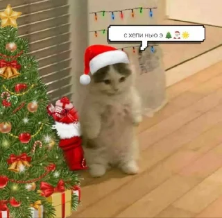 Стикер Сброситься с крыши или заговорить с ней? - 6