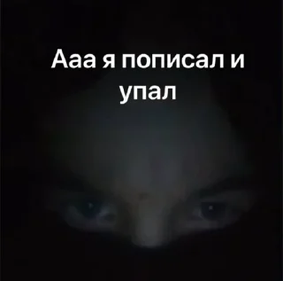 Sticker 🦄 Стики тут 👉 @WeStickerbot - 4