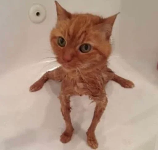 Больше стиков тут: @stikery4 - 