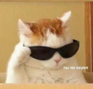 Sticker Больше стиков тут: @stikery4 - 6