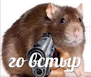 Sticker Больше стиков тут: @stikery4 - 4