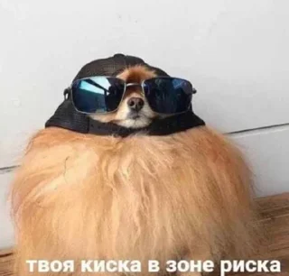 Sticker Больше стиков тут: @stikery4 - 9