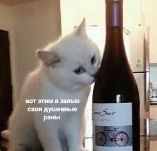 Sticker Больше стиков тут: @stikery4 - 7