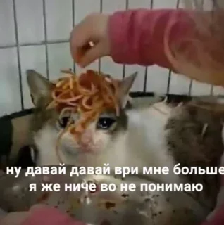 Sticker Больше стиков тут: @stikery4 - 0