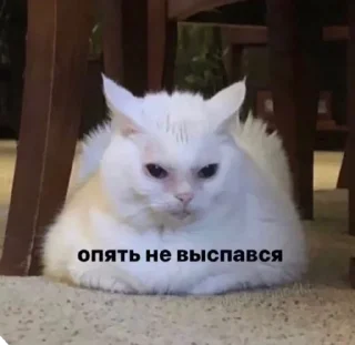 Sticker Больше стиков тут: @stikery4 - 2