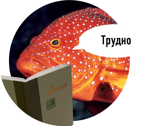 Sticker Рыбы пытаются читать - 7