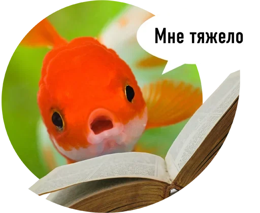 Sticker Рыбы пытаются читать - 3
