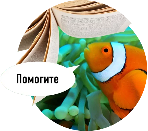 Sticker Рыбы пытаются читать - 0