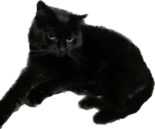 Sticker richarrrrrd - 1