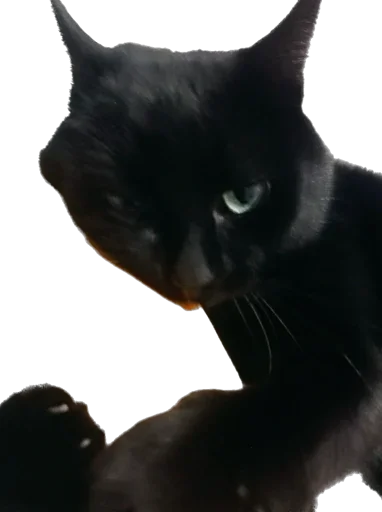 Sticker richarrrrrd - 1