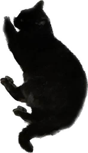 Sticker richarrrrrd - 1