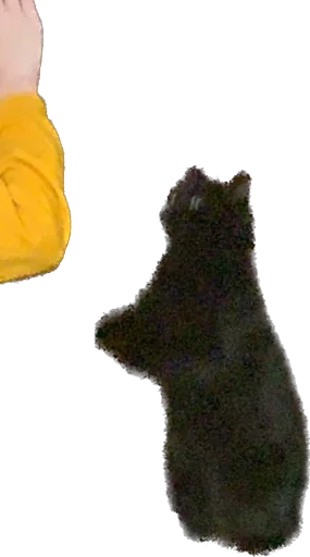 Sticker richarrrrrd - 1