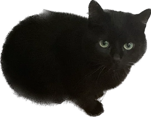 Стикер richarrrrrd - 1