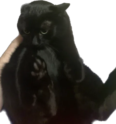 Sticker richarrrrrd - 1