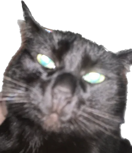 Стикер richarrrrrd - 1