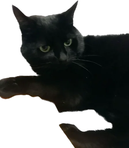 Стикер richarrrrrd - 1