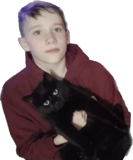 Стикер rich chort 🐈‍⬛ - 1