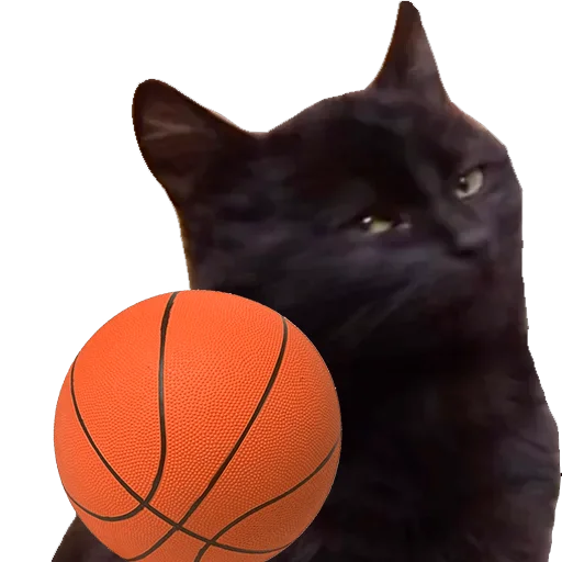 Sticker Кошаки - 2