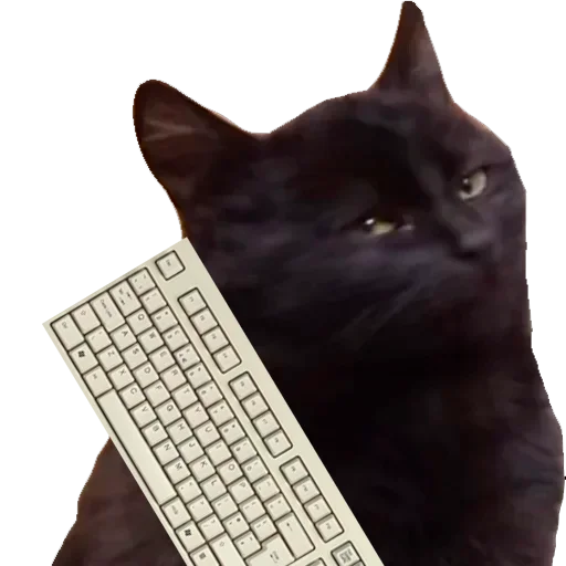 Sticker Кошаки - 0