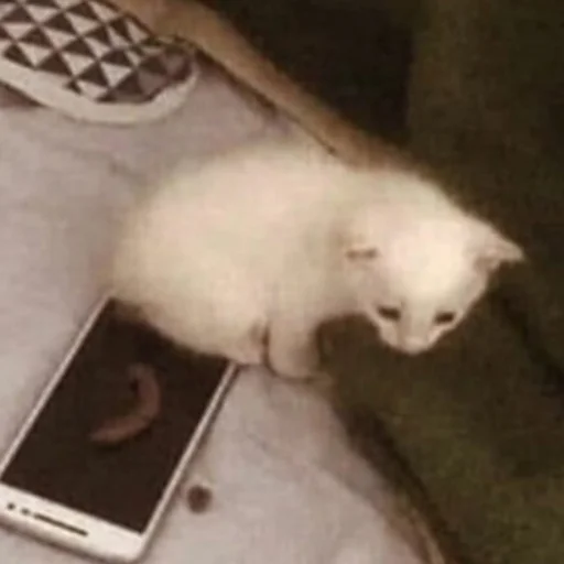 Стикер рыгальня - 3