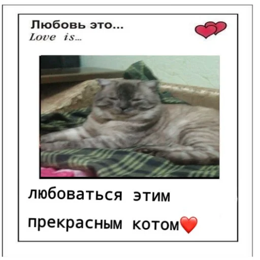 Sticker rikushatopavtorabdaraaaa - 1