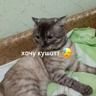 Стикер рик пушка гонкаа улёт вообще - 11